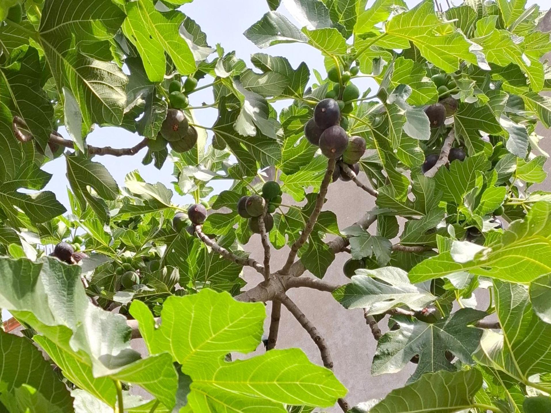 Vila Noar Vlorë Екстериор снимка
